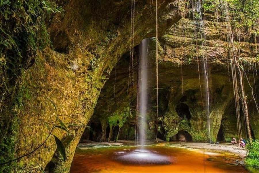 Manaus: Amazon Waterfalls Day Trip with Lunch - Should you book the Manaus waterfalls day trip?