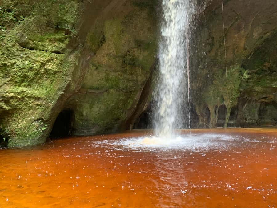 Manaus: Presidente Figueiredo Caves and Waterfalls Tour - Who will enjoy this Presidente Figueiredo tour?