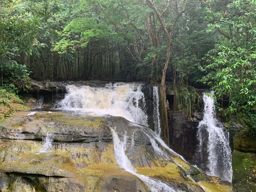 Manaus: Presidente Figueiredo Caves and Waterfalls Tour - From Manaus to Presidente Figueiredo by road