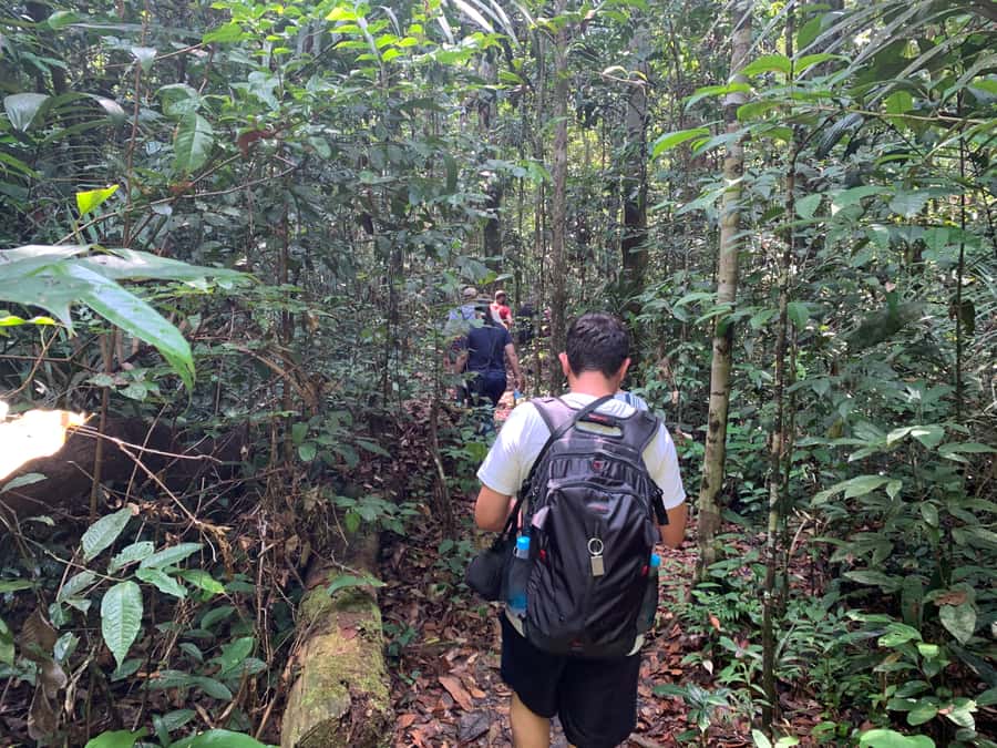 Manaus: Presidente Figueiredo Caves and Waterfalls Tour - Inside the movie-set grottos