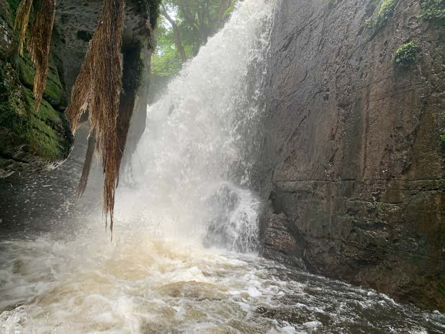 Manaus: Presidente Figueiredo Caves and Waterfalls Tour - What to pack for the forest and water