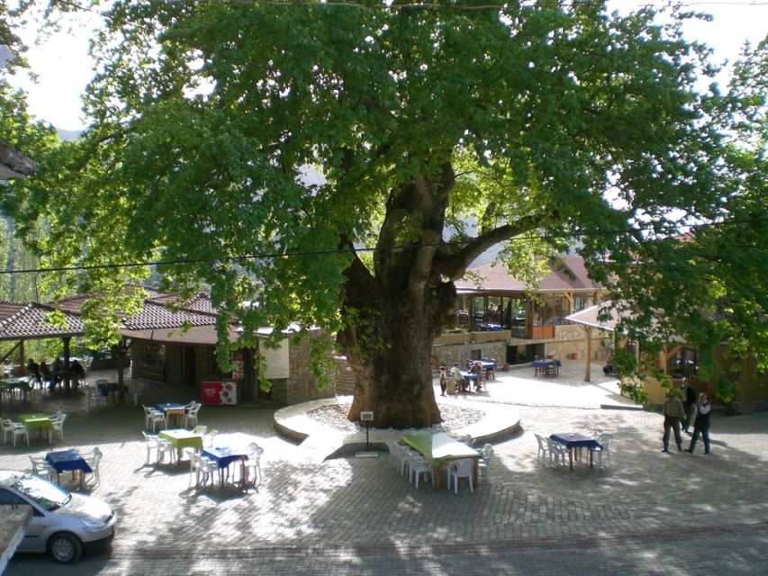 Marmaris Village Tour, Turgut Waterfalls and Mermaid Sand - What the $53 price really buys