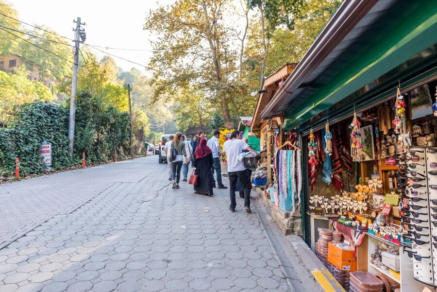 Marmaris Village Tour, Turgut Waterfalls and Mermaid Sand - Transport, timing and language