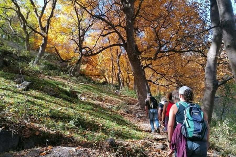 Marrakech: Atlas Mountains 3 Valleys Hike W Lunch&Waterfalls - Key points to know before booking