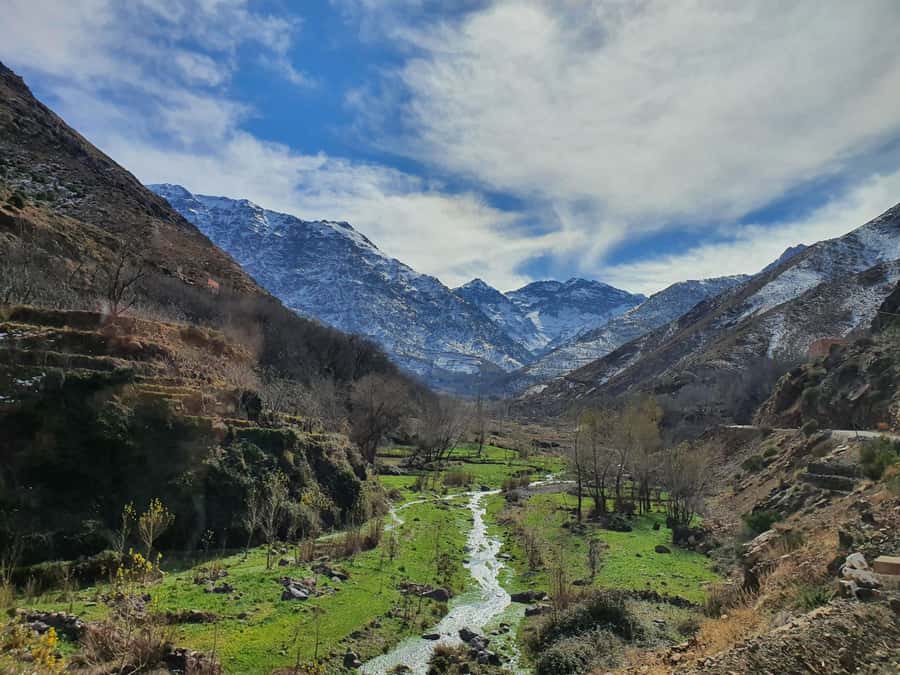 Marrakech: Atlas Mountains, Agafay Desert, Waterfall & Lunch - Key points at a glance