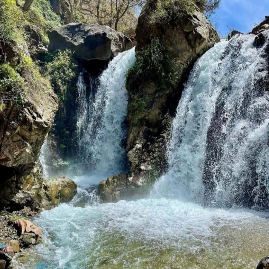Marrakech: Atlas Mountains, Agafay Desert, Waterfall & Lunch - What the guides and drivers add