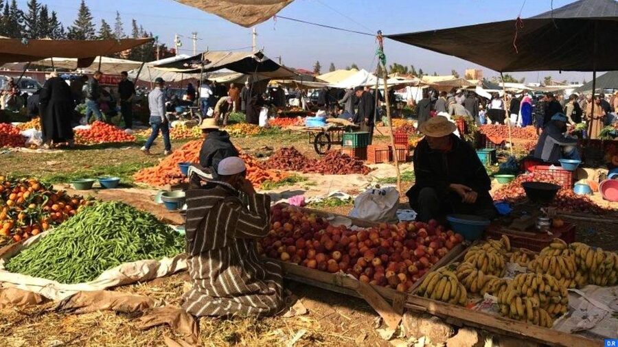 Marrakech: Atlas Mountains, Agafay Desert, Waterfall & Lunch - What to bring and how to prepare