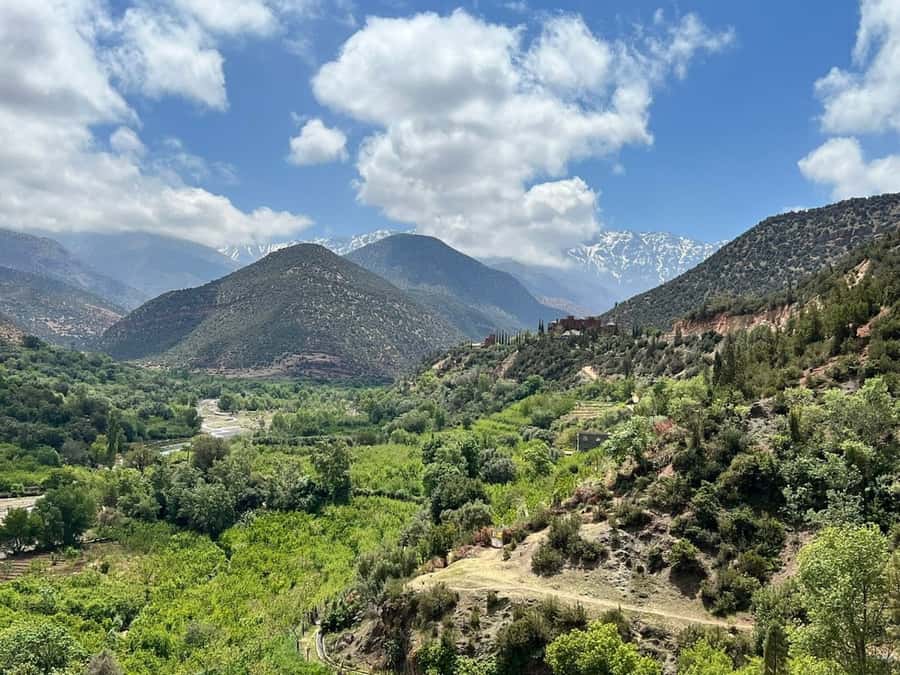 Marrakech: Atlas Mountains, Agafay Desert, Waterfall & Lunch - The market option on Tuesdays and Saturdays
