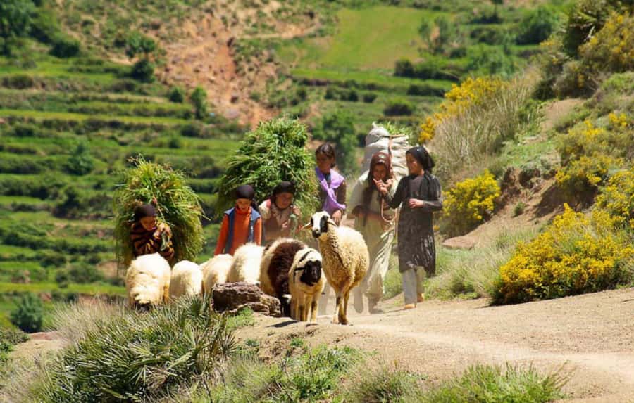 Marrakech Atlas Mountains, Berber Villages & Waterfall Tour - Leaving Marrakech for the High Atlas