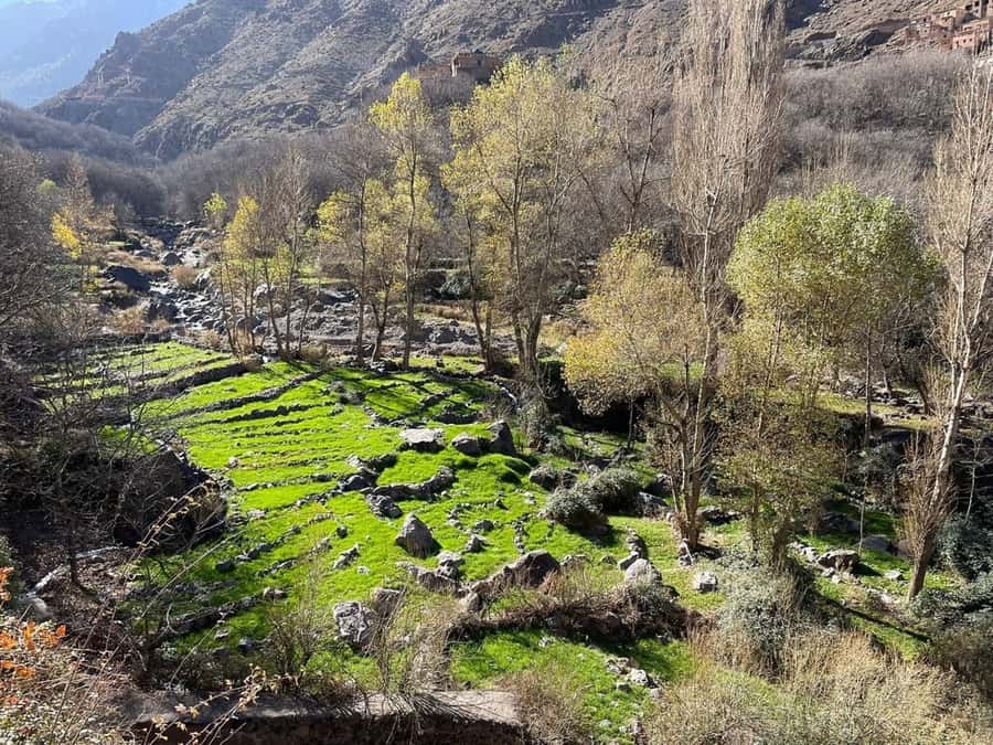 Marrakech: Atlas Mountains, Camel Ride, Waterfalls, & Lunch - Market day near Asni