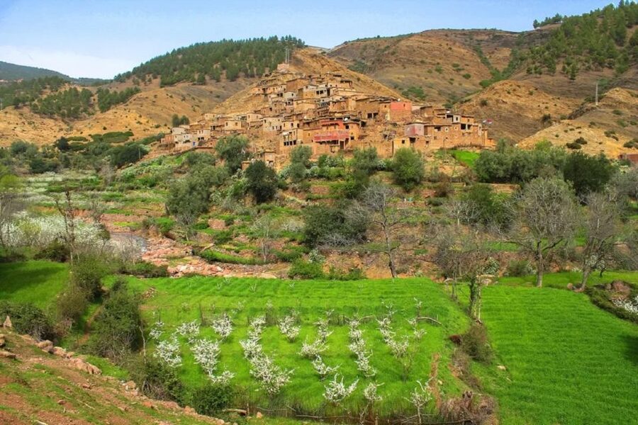 Marrakech: Atlas Mountains Day Trip, 3 Valleys & Waterfalls - Should you book this tour?