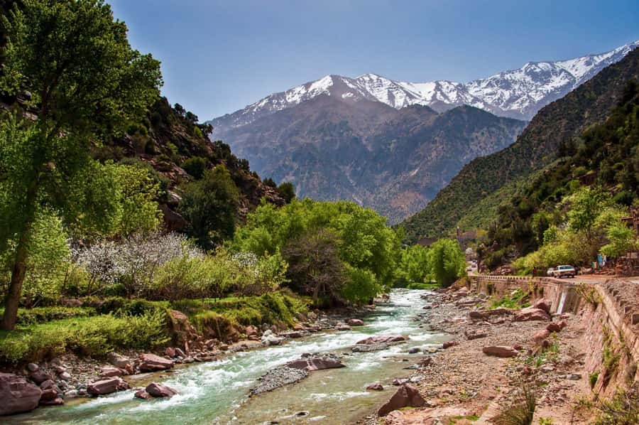 Marrakech:Atlas Mountains, Ourika Valley Day Trip,Waterfall - Lunch by the river, with important limits