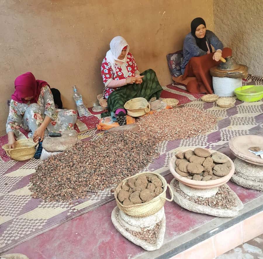 Marrakech: Atlas Mountains, Ourika Valley, Waterfall & Guide - The drive through the Atlas foothills