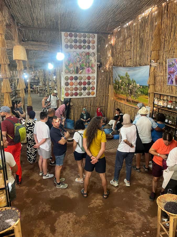 Marrakech: Atlas Mountains, Ourika Valley, Waterfall & Lunch - Key points to know before leaving Marrakech