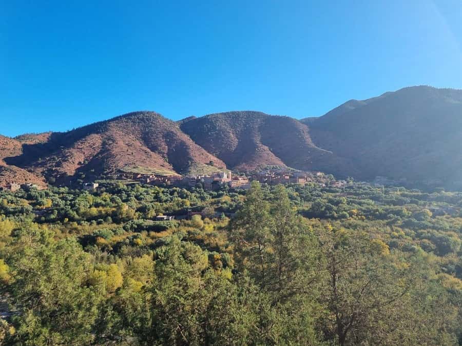 Marrakech: Atlas Mountains, Ourika Valley, Waterfall & Lunch - Lunch beside the Ourika River