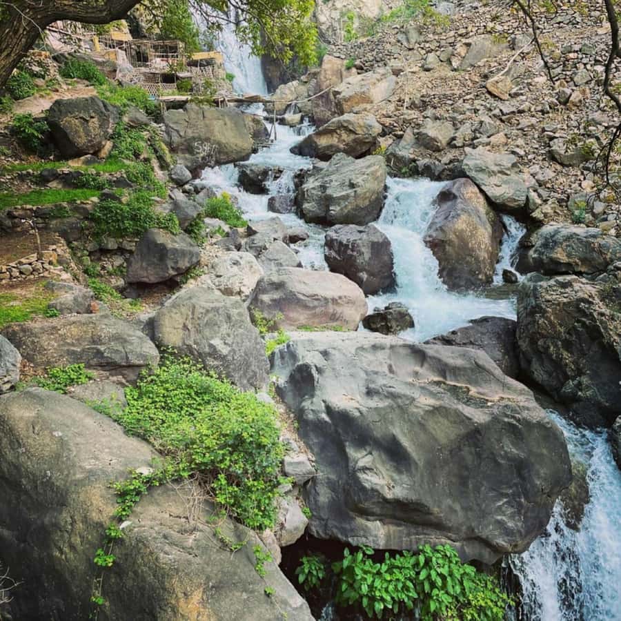 Marrakech: Atlas Mountains & Valleys Waterfall Hike w/ Lunch - How the transport and timing work
