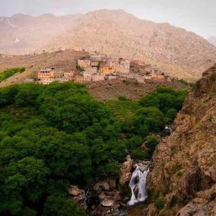 Marrakech: Atlas Mountains & Valleys Waterfall Hike w/ Lunch - Who will enjoy this Atlas Mountains day trip