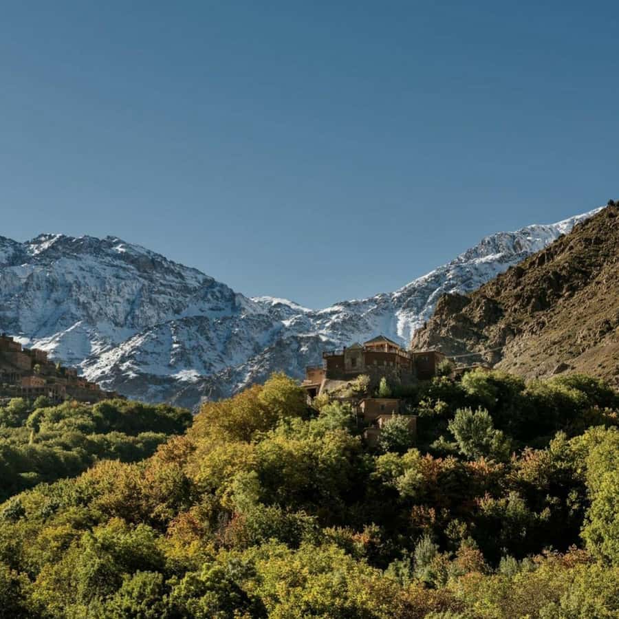 Marrakech: Atlas Mountains & Valleys Waterfall Hike w/ Lunch - Should you book it?