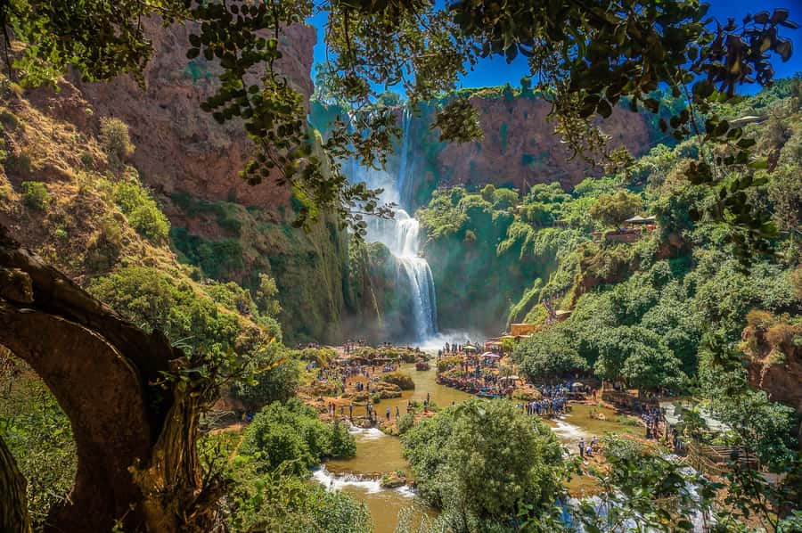 Marrakech: Day Tour to Ouzoud Waterfalls with Boat Trip - Should you book the Ouzoud Falls trip?