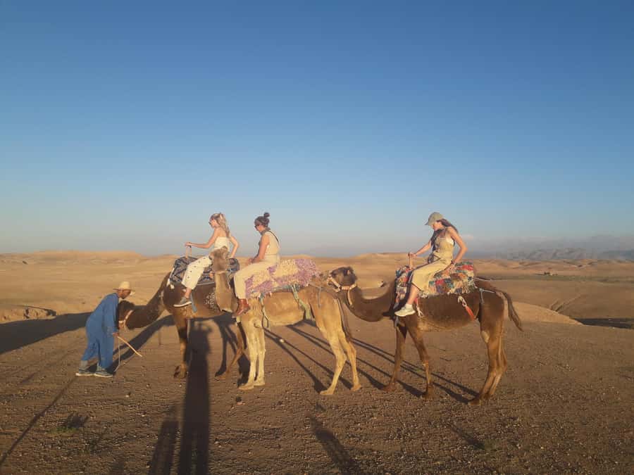 Marrakech Day Trip to Ourika valley & Waterfalls - Berber life, mint tea, pottery, and plant scents