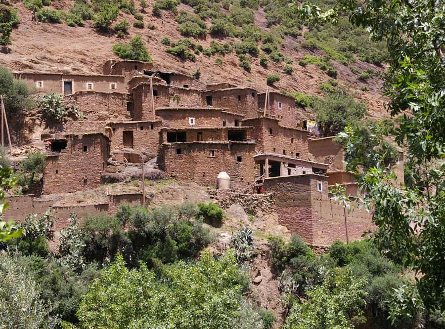 Marrakech Day Trip to Ourika valley & Waterfalls - Lunch beside the river
