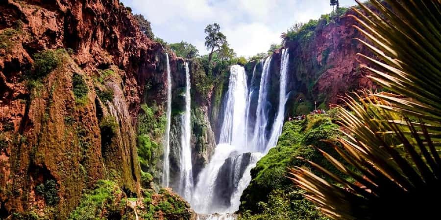 Marrakech: excursion ouzoud waterfall - Ouzoud Falls and the Long Road from Marrakech
