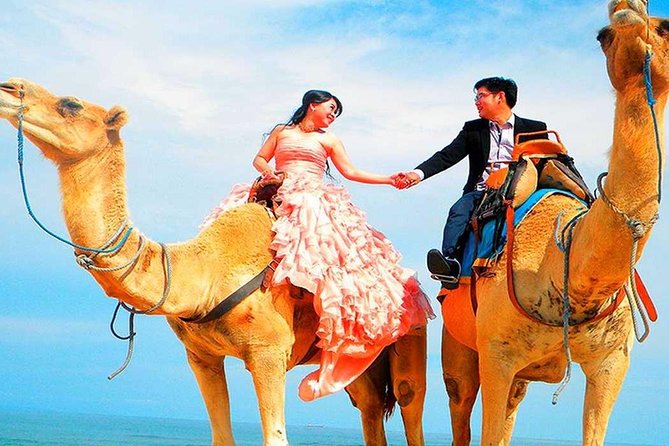 Marrakech High Atlas mountains 3 Valleys waterfalls & Camel Ride - Guides and drivers can shape the experience