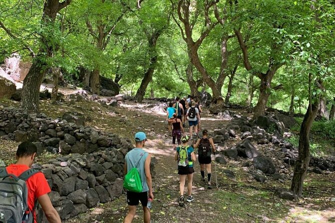 Marrakech: Ourika Valley, Atlas Mountains, Waterfalls & Lunch - Lunch beside the Ourika River