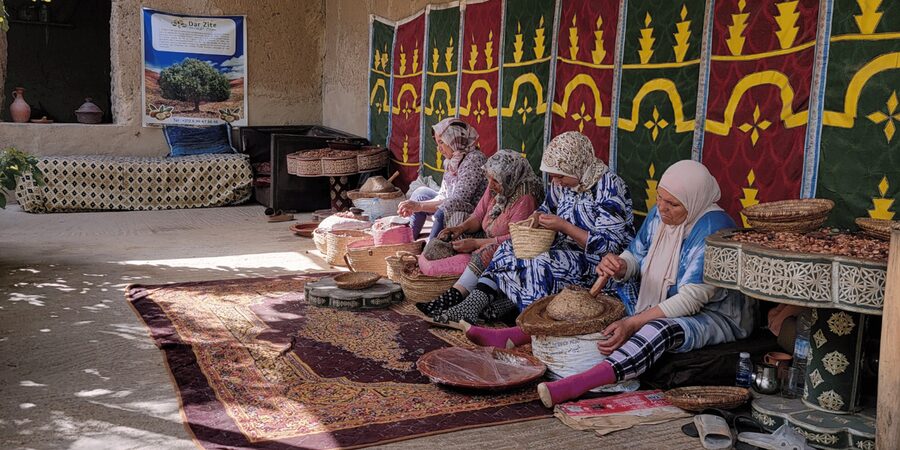 Marrakech: Ourika Valley, Atlas Mountains & Waterfalls Tour - Guides, languages, and the feel of the day