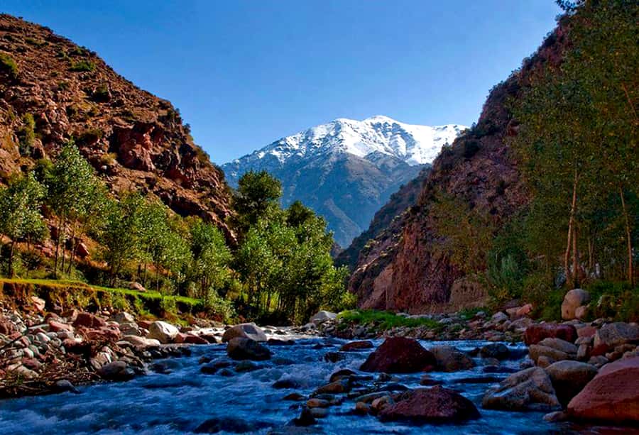 Marrakech: ourika valley Atlas Mountains & Waterfalls Trip - Tea and bread inside a Berber home