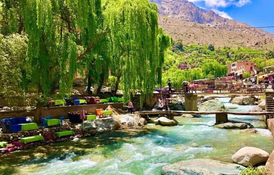 Marrakech: Ourika Valley Day Trip & Waterfalls Hike - From Marrakech to the High Atlas in 50 Minutes