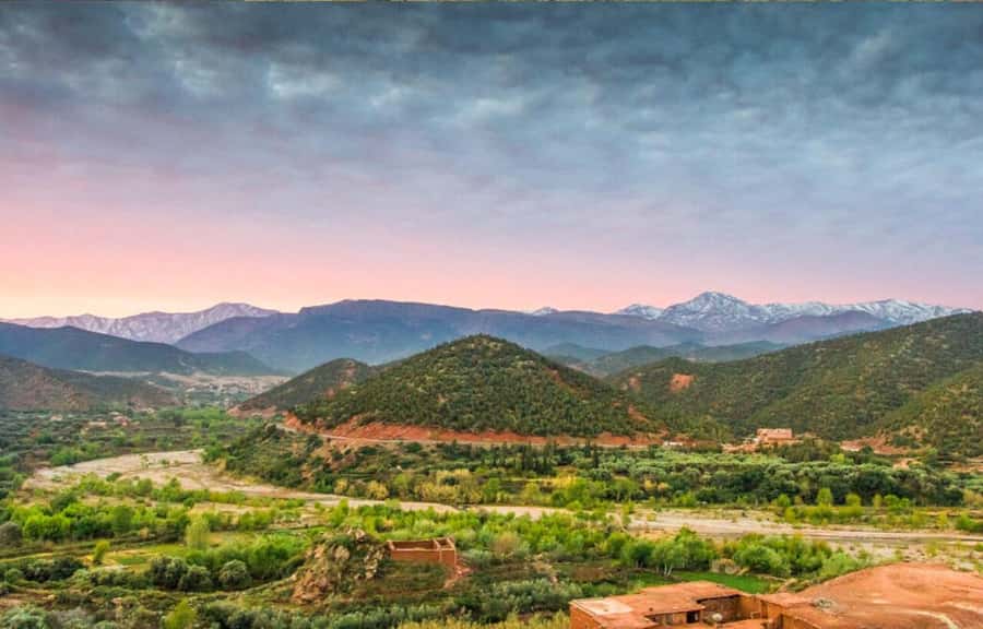 Marrakech: Ourika Valley Day Trip & Waterfalls Hike - Setti Fatma Waterfalls and the 80-Minute Mountain Visit