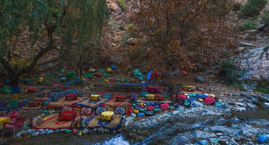 Marrakech: Ourika Valley Day Trip & Waterfalls Hike & Lunch - Who will enjoy this outing most?