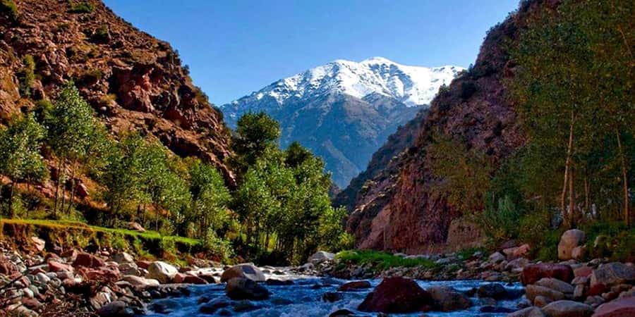 Marrakech: Ourika Valley Day Trip & Waterfalls Hike - Argan Oil Production and the Limits of the Stop