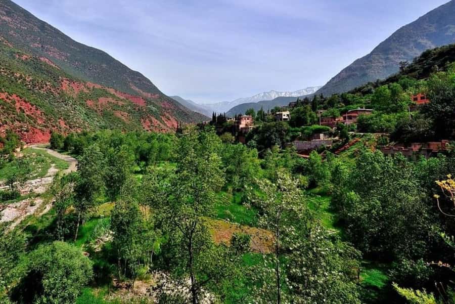 Marrakech: ourika valley lunch & guided hike to waterfalls - What the $12 starting price really gets you