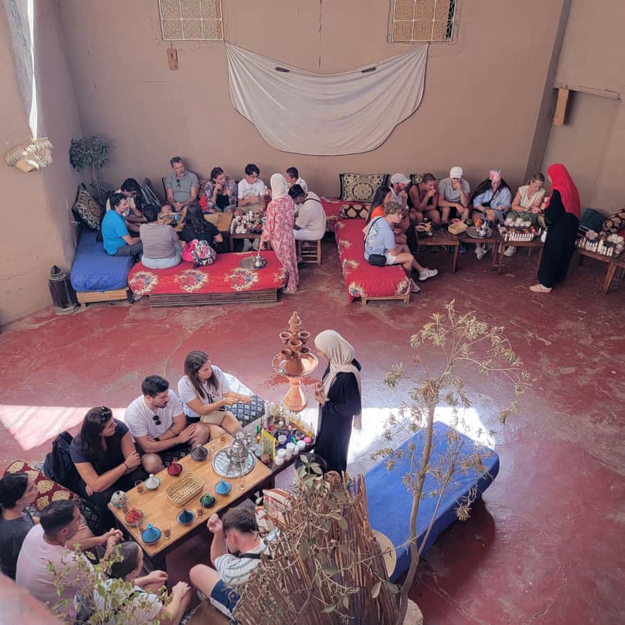 Marrakech: Ourika Valley & Setti Fatma Waterfalls with Lunch - The Ourika waterfalls and mountain walk