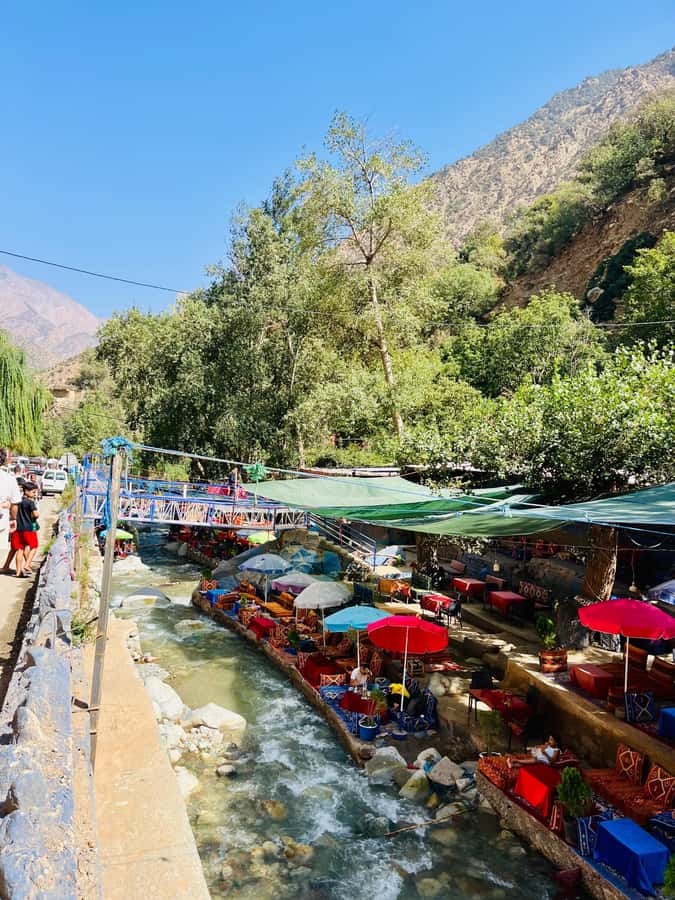 Marrakech: ourika valley & waterfall Day Trip with guide - Key points at a glance