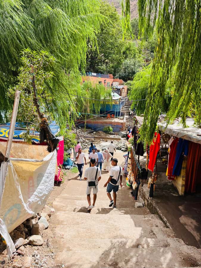Marrakech: ourika valley & waterfall Day Trip with guide - The waterfall walk and Toubkal massif views