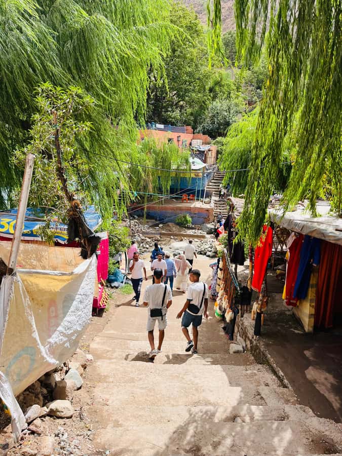Marrakech: Ourika Valley Waterfalls & guided hike - Who should choose this Ourika Valley trip?