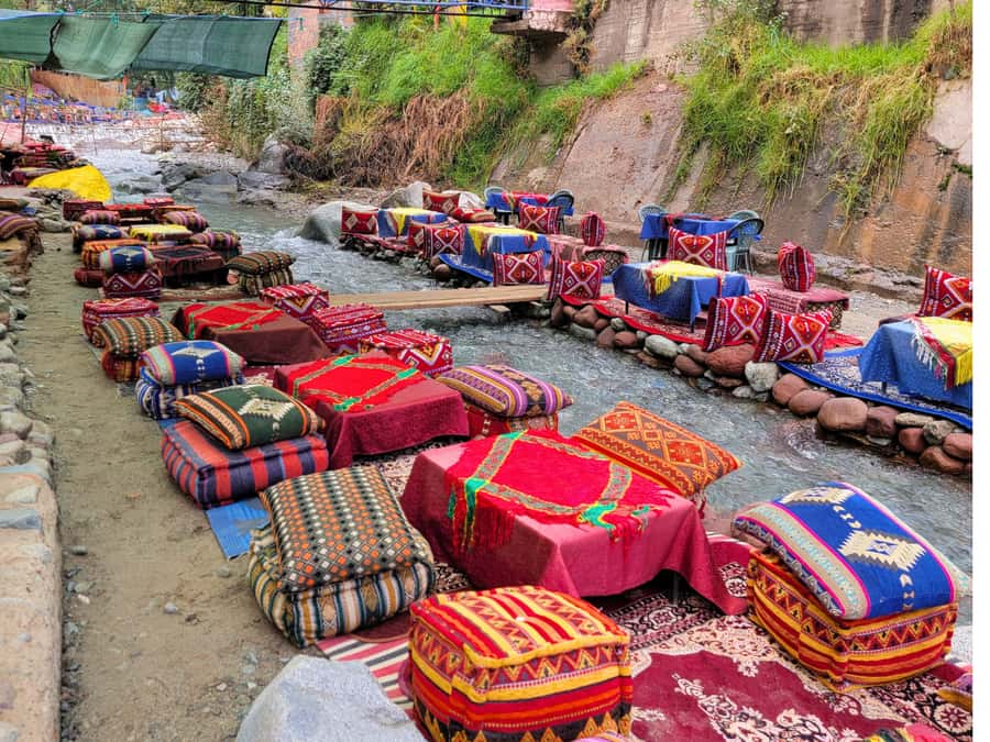 Marrakech: Ourika Valley & Waterfalls Guided Tour with Lunch - Who should book this Ourika Valley outing?