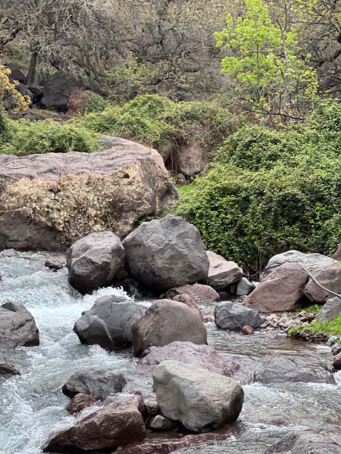 Marrakech: Ourika Valley Waterfalls Hike & Traditional Lunch - Should you book the Ourika Valley waterfall hike?
