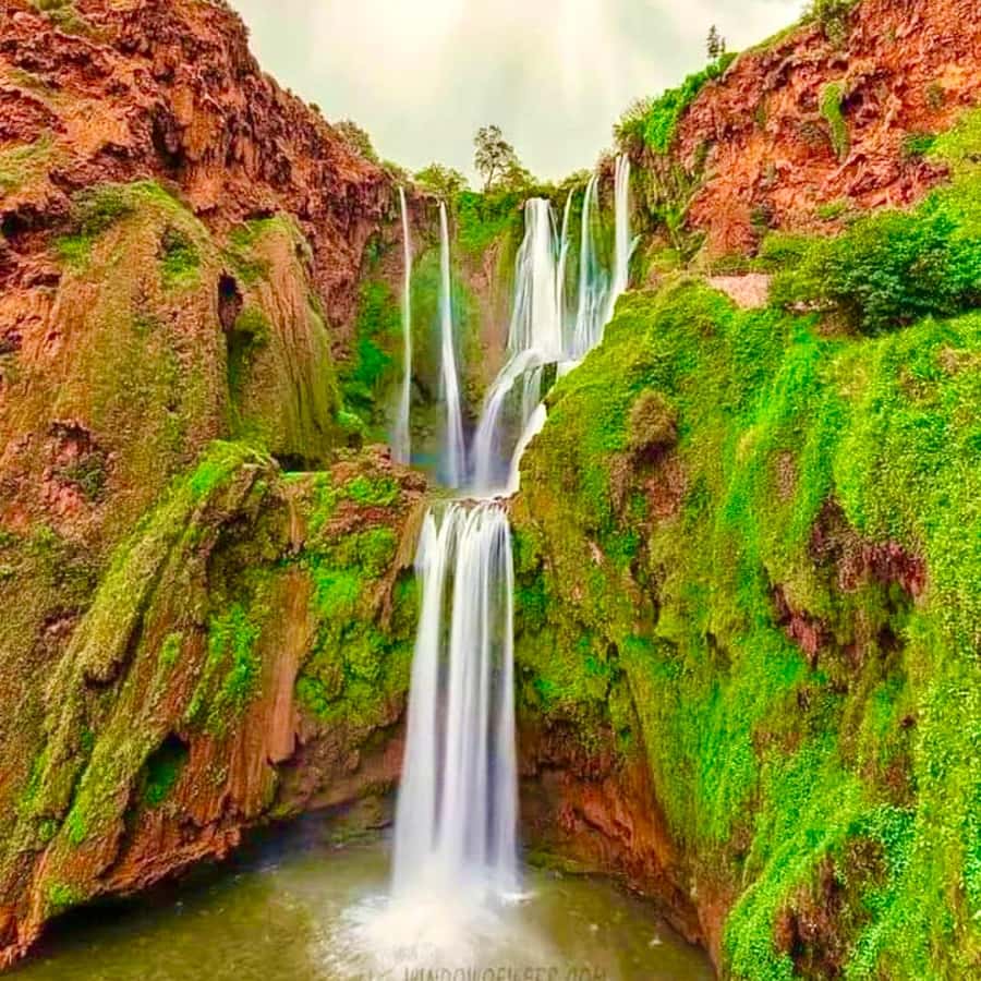 Marrakech: Ouzoud Waterfall, Guided Hike, Boat Ride & Lunch - Key points to know before booking