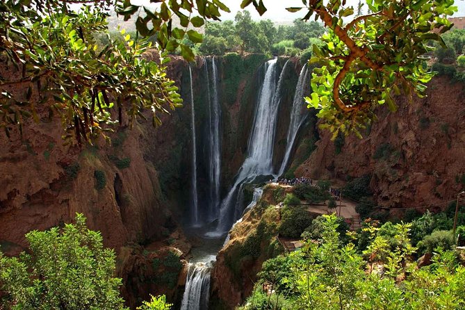 Marrakech: Ouzoud Waterfalls Guided Day Trip with Boat Ride - The morning drive and the first coffee stop
