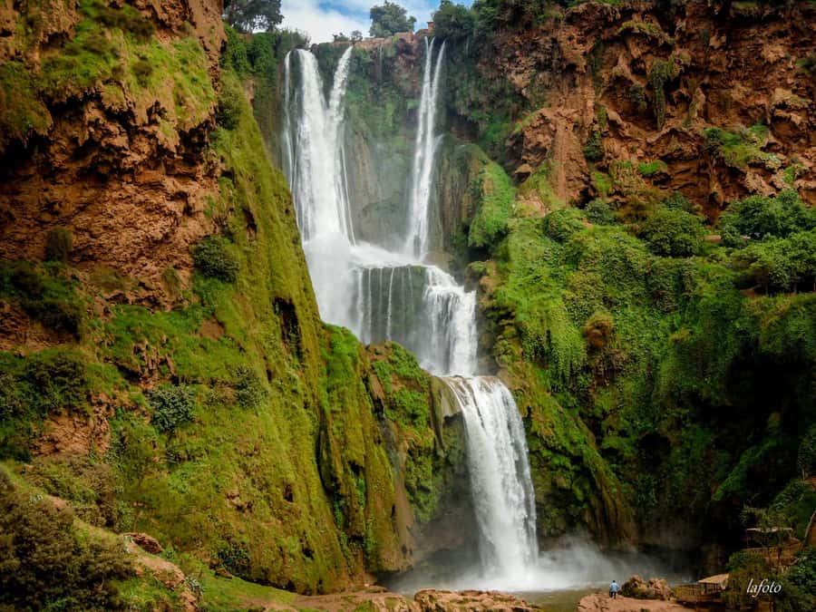 Marrakech : Ouzoud Waterfalls & Guided Tour & Boat Ride - Meeting the Barbary macaques