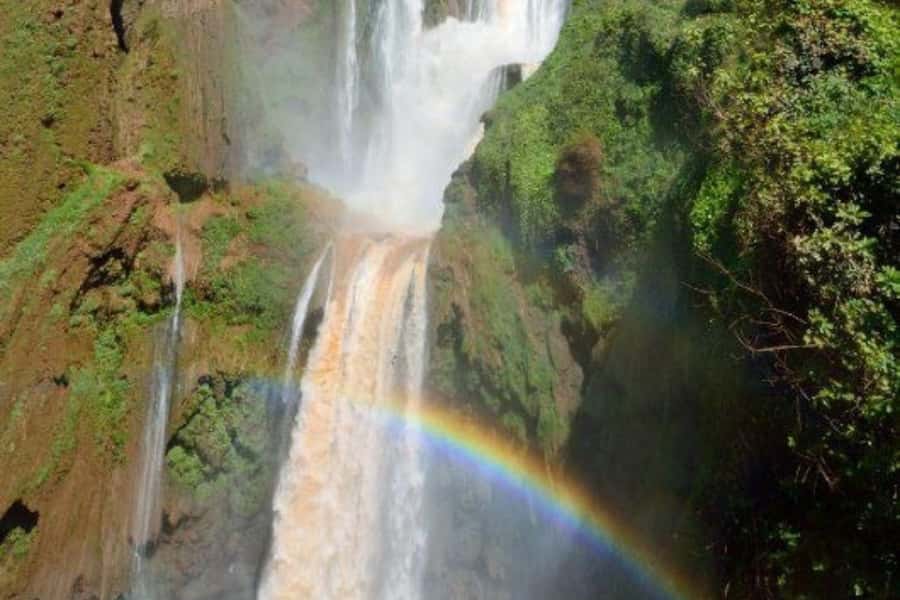 Marrakech: Ouzoud Waterfalls Trip, Guided Hike & Boat Option - Who should book this day trip
