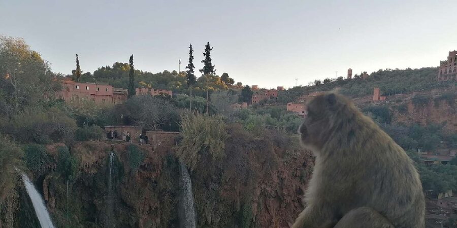 Marrakech to Ouzoud waterfalls day tour - Guide & boat ride - The boat ride beneath the spray