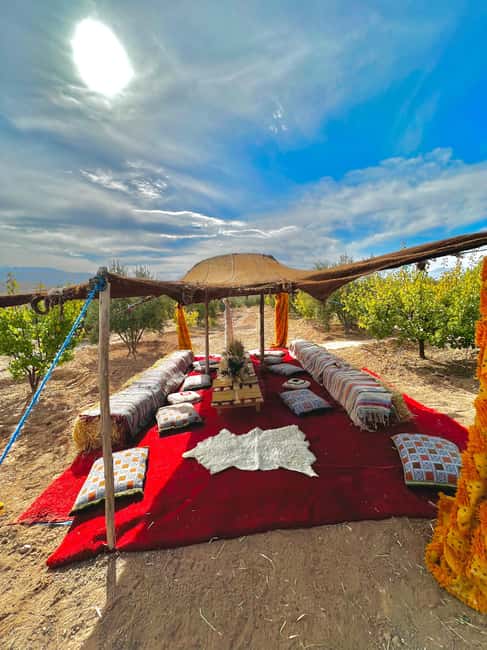 Marrakech: Waterfall, Valley, Atlas Mountain, Camel & Desert - What the $10 price really means