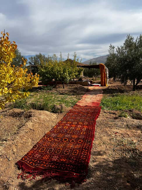 Marrakech: Waterfall, Valley, Atlas Mountain, Camel & Desert - Should you book it?