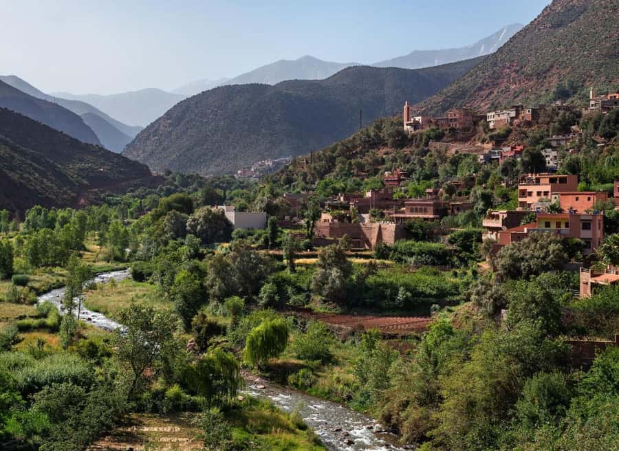 Marrakesh: Ourika Atlas Mountains, Waterfalls, Guide + Lunch - Mint tea and lunch beside the Ourika River