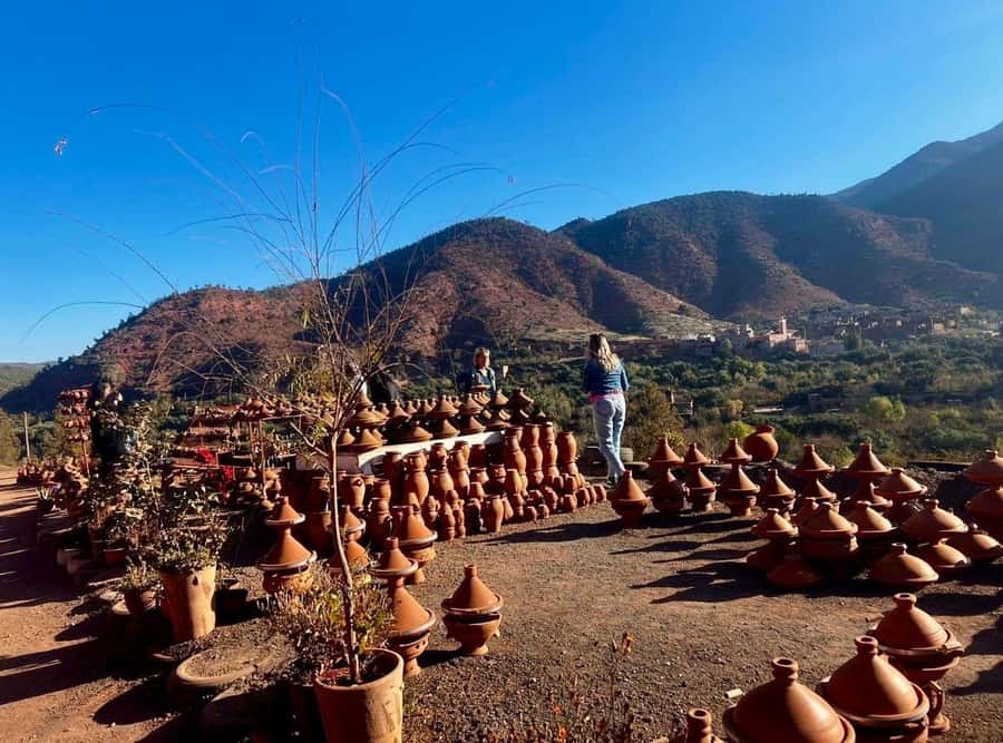 Marrakesh: Ourika Atlas Mountains, Waterfalls, Guide + Lunch - Who should book this Ourika day trip